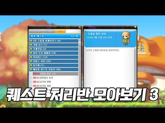 [메이플 몰아보기] 모아보는 퀘스트 처리반3