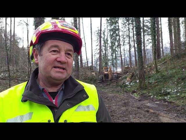 "Baum fällt!" - wie Forstarbeiter in Salzburg unter Lebensgefahr Sturmschäden beseitigen