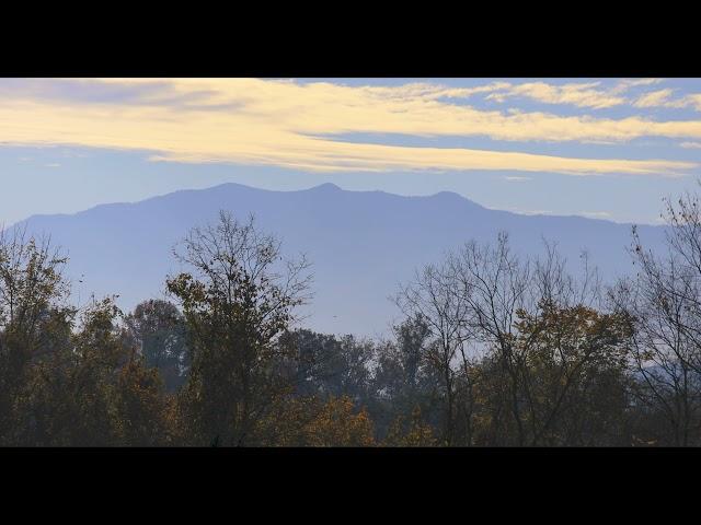 Bluff Mountain Fall Driving Tour