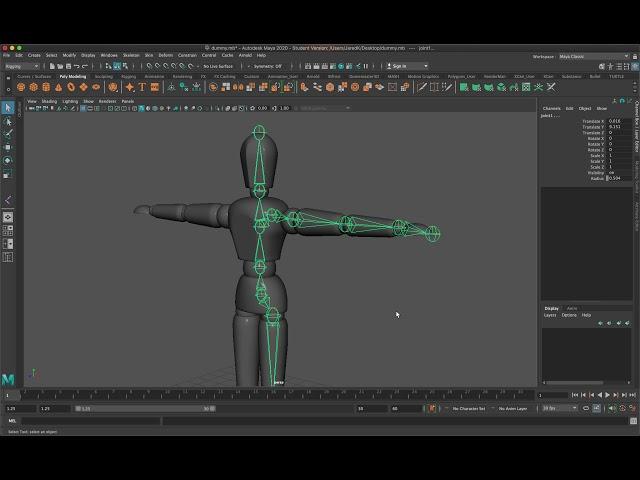 Manual Rigging Part 1 (Creating Joints)