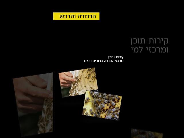 הפכי את הלמידה על הדבורה והדבש לחוויה בלתי נשכחת עם המארז שלנו!