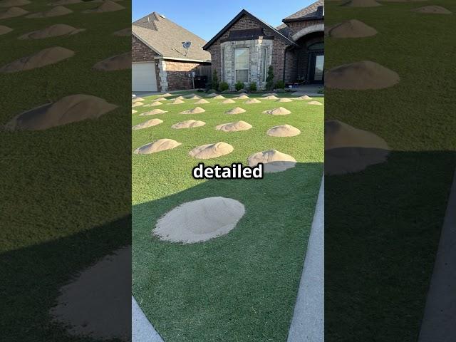 “ Welcome to Low Cut Chronicles | My Lawn Care Journey & Reel Mowing   #LawnCare #ReelMowing”