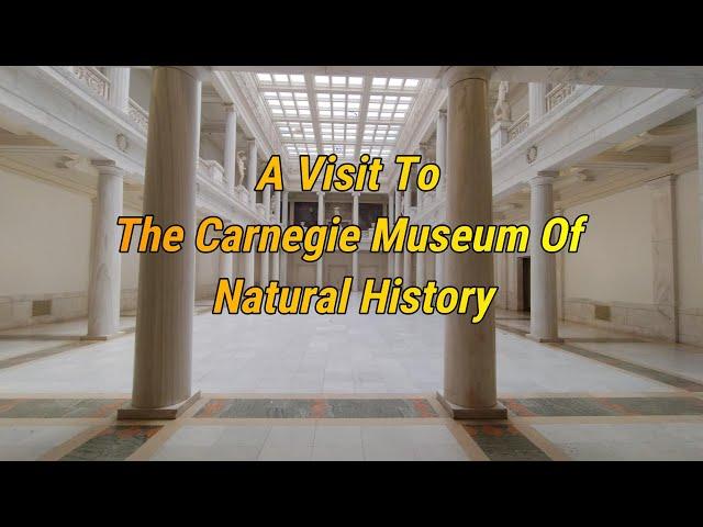 A Visit To The Carnegie Museum Of Natural History 