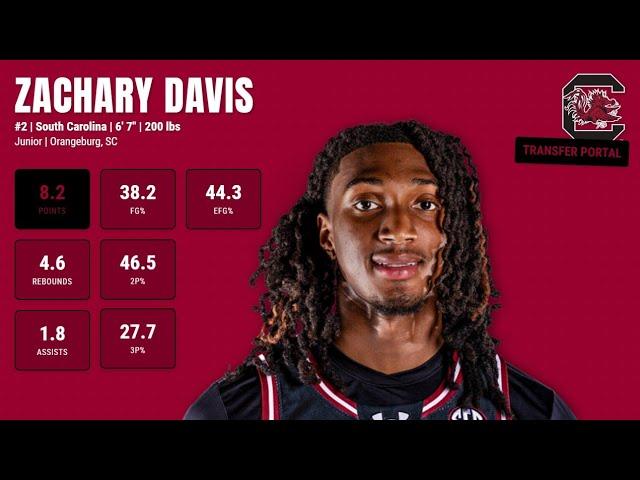 Zachary Davis - South Carolina - 2024-25 Transfer Portal Highlights