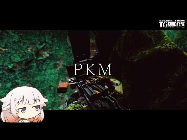 kalashnikov PKM 新機関銃でまったりレイド【ONE実況】【タルコフ】【EFT】