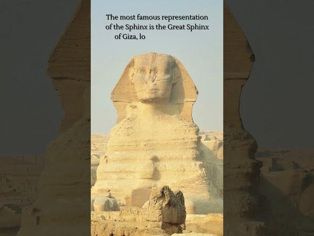 Creatures of Lore: What is the Sphinx? #sphinx #sphinxriddle #mythology #mythologicalcreature