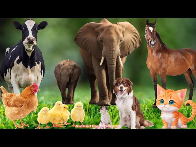 Recognizing Land Animals: Horse, Elephant, Cat, Dog, Cow - Animal Videos