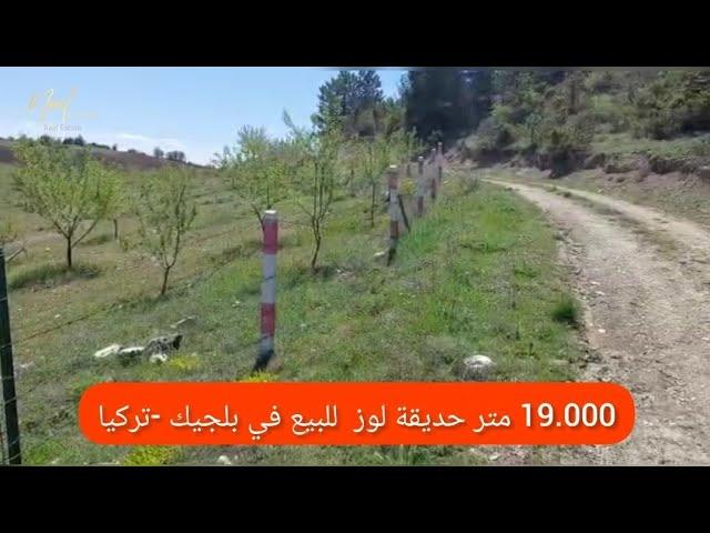 19.000متر حديقة لوز للبيع في بلجيك -تركيا