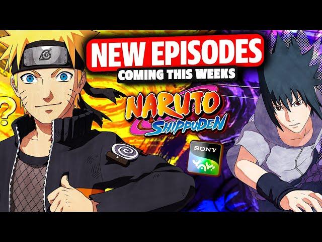 THIS WEEK! Naruto Shippuden Hindi Dubbed Episode 221! New Episodes Of Season 11