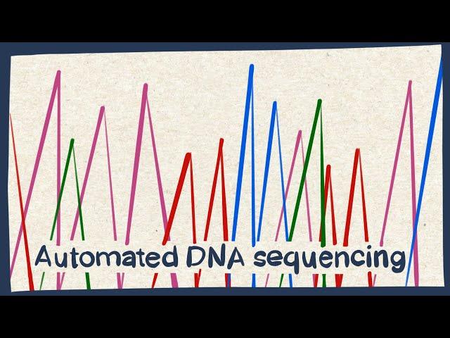 Automated DNA sequencing - Biology tutorial