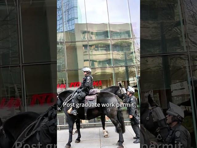 介绍4种加拿大移民工签类型，能挣钱能拿身份#移民 #出国 #加拿大 #海外生活 #工签