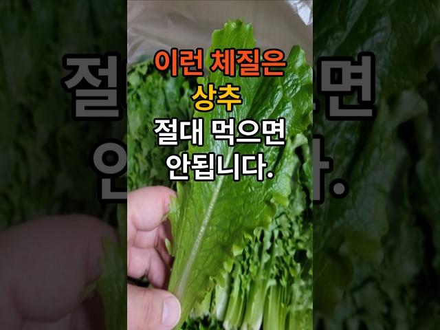 이런체질은 상추 절대 먹으면 안됩니다. #건강  #건강정보  #이슈