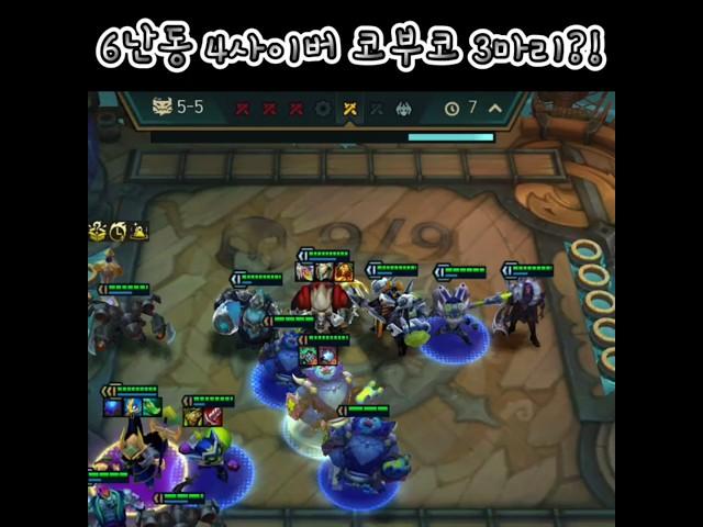 롤토체스!! 코부코가 3마리라고!?