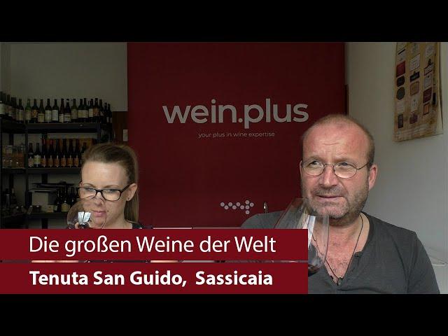 Die großen Weine der Welt | Tenuta San Guido / Sassicaia