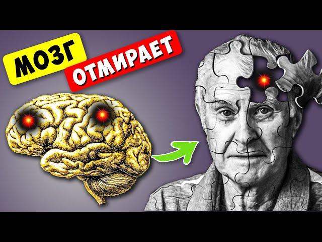 7 Признаков того, что Ваш МОЗГ ОТМИРАЕТ! 90% даже НЕ Догадываются об этом...