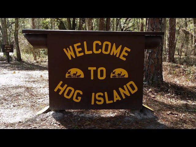 Withlacoochee State Forest Hog Island - Quick Tour