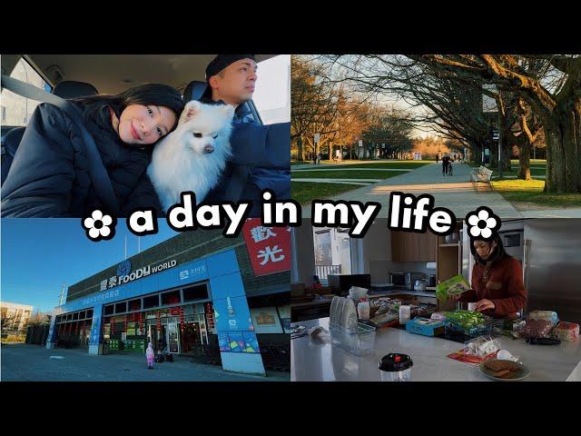 a day in my life in vancouver | grocery run, home organization, long walks