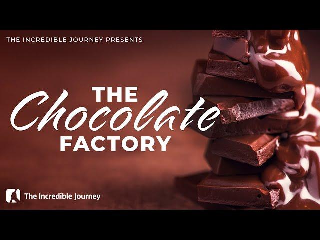 The Chocolate Factory