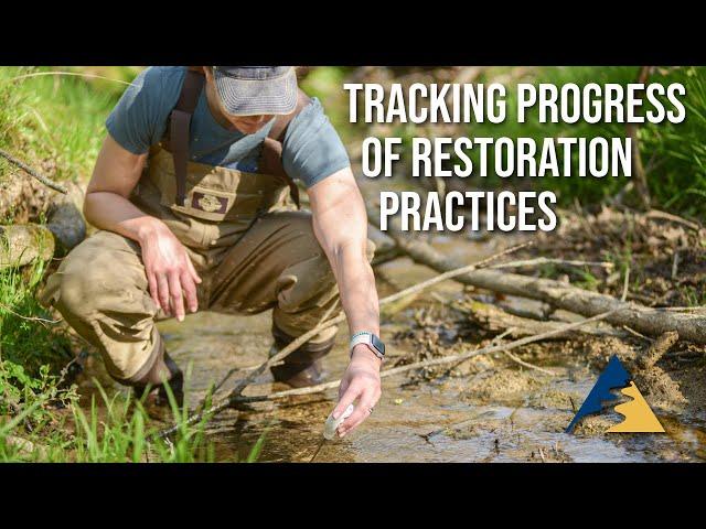 B1 Tracking Progress of Restoration Practices