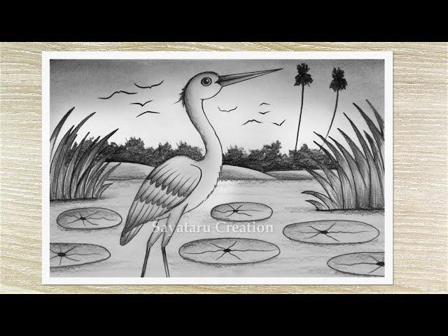 How to Draw a Birds Scenery with Pencil, Easy Pencil Drawing for Beginners