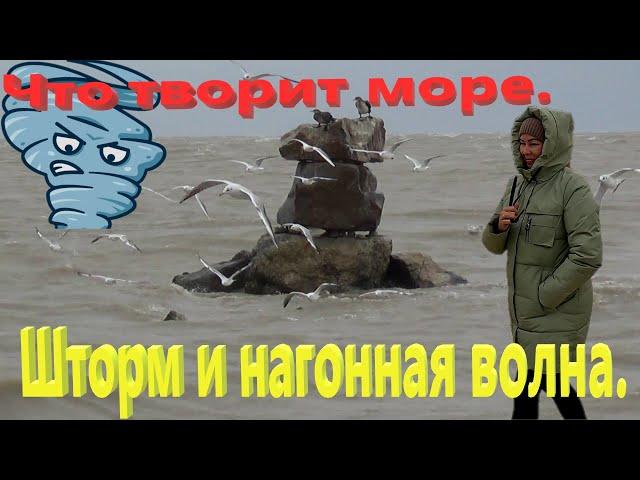 Шторм и нагонная волна. Что творит Азовское море. Ейск.