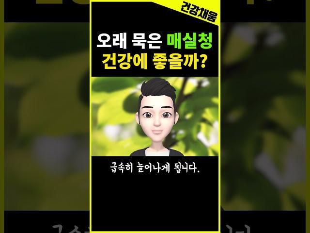 shorts 오래된 매실청