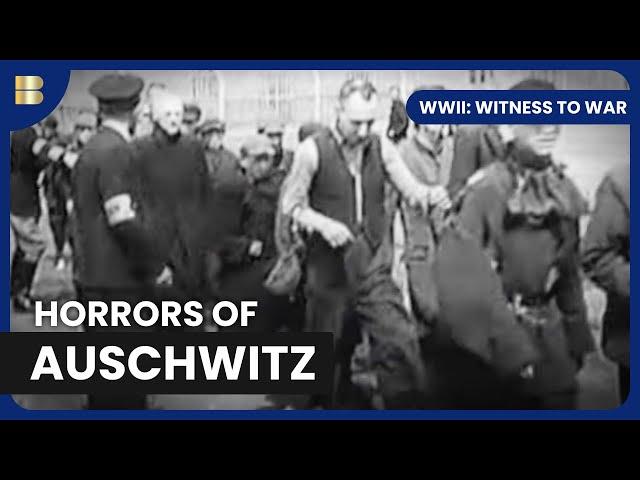 Auschwitz to Berlin: The Final Battle - WWII: Witness to War - S01 EP11 - History Documentary