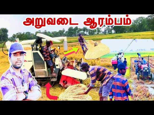 அறுவடை ஆரம்பம் | 66kg 8000 ரூபா | மழை தொடர் கதை | Ennathu parvai | Thanuras