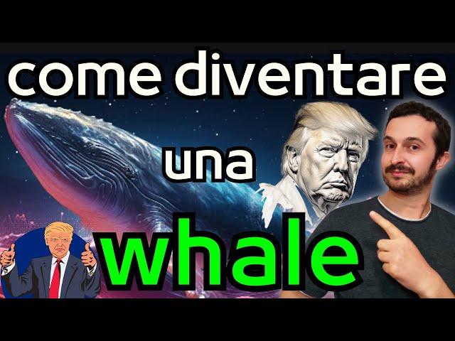 Sono diventato una Whale di un progetto molto interessante da x100