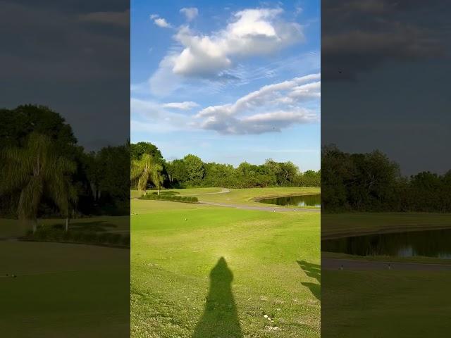 Golfing in Florida  #shorts  #travel #florida #golf