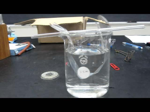 Lab Demo - Dialysis Tubing 001