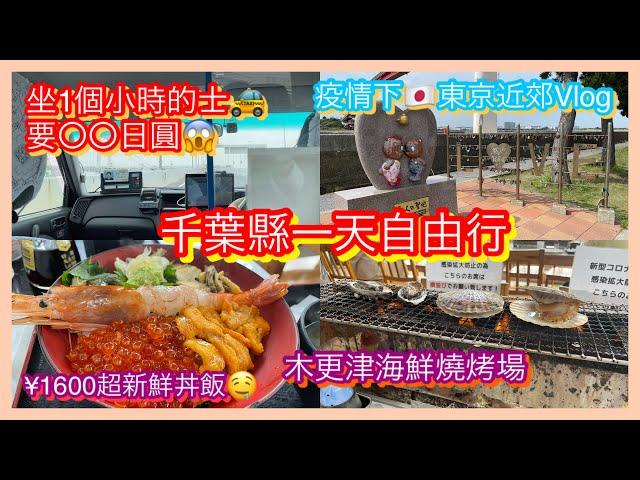 【日本旅遊】東京疫情近郊自由行vlog 千葉木更津不只有outlet 超抵食海鮮丼飯 BBQ燒烤場 坐的士價格 日落 Japan Tokyo Kisarazu Seafood