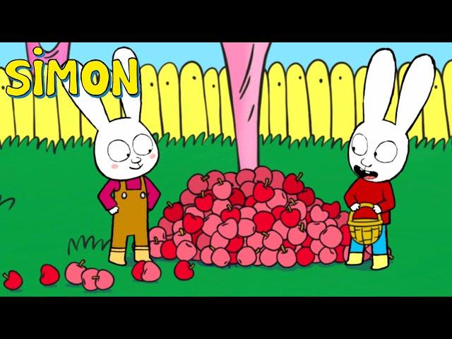 Eu amo maçãs | Simon | Episódios Completos Português 2h | Temp. 3+4 | Desenhos animados infantil