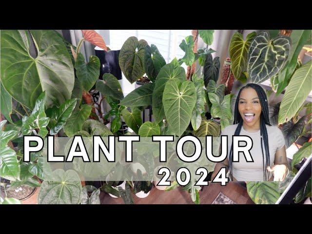 🪴Indoor Jungle: Tour of 300+ Plants 🪴