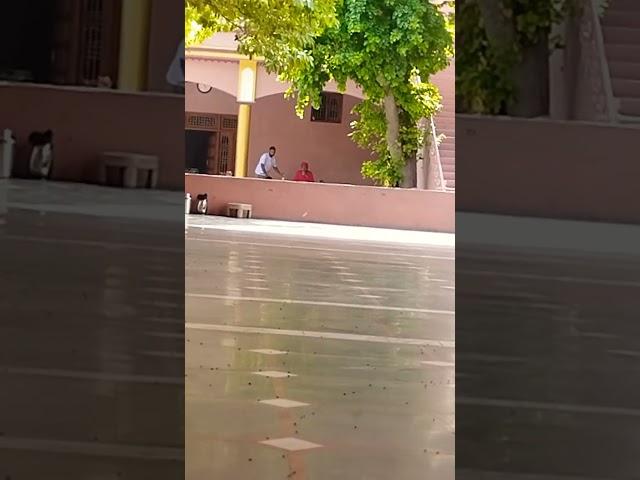 Dhan dhan baba Shri chandra ji maharaj Nathupur dera 🫶🫶