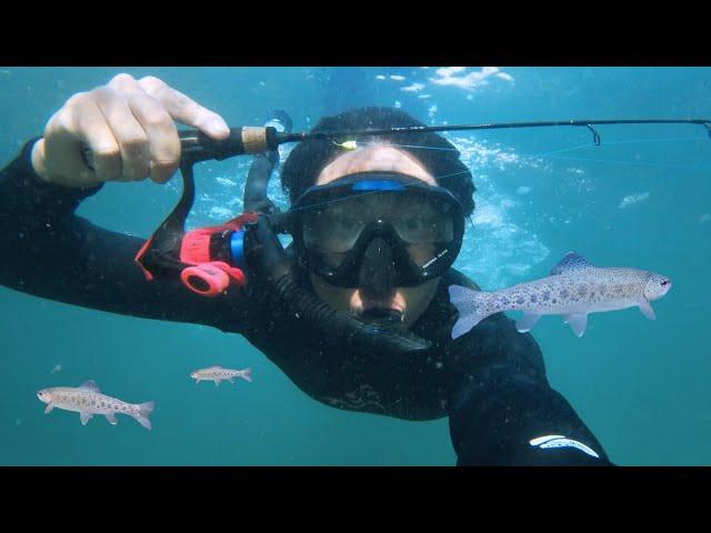 UNDERWATER Fishing in a CRYSTAL Clear Water! Vedder River