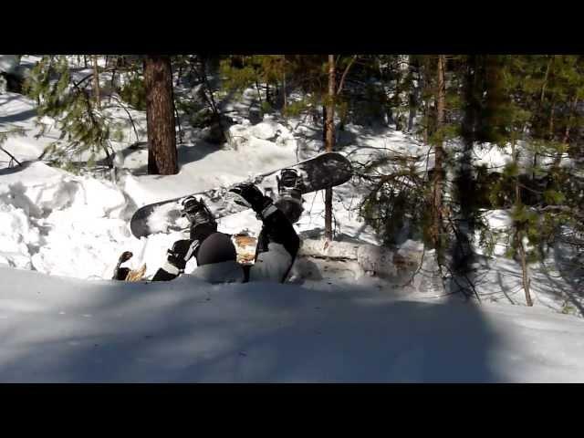 Snowboarder VS Tree (break a leg!)