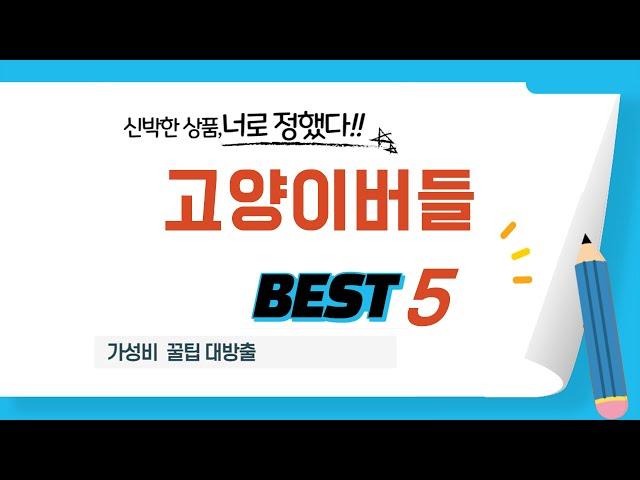 고양이버들 추천 리뷰 후기 TOP5