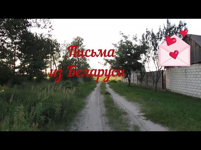 18  деревенская околица. Belarusian rural landscape.