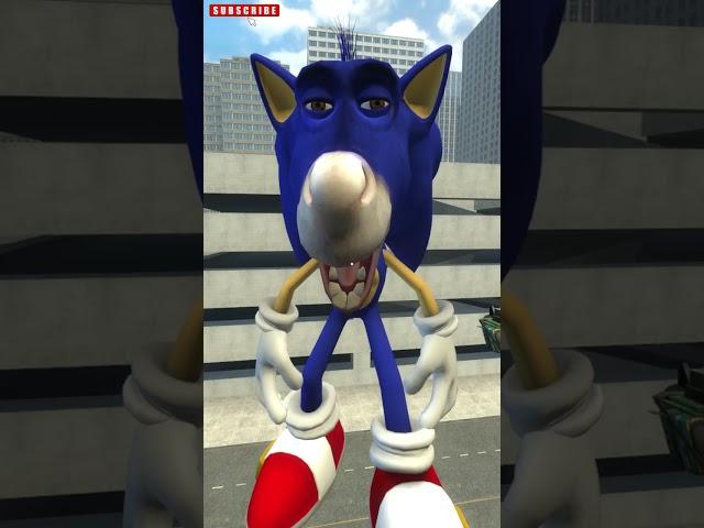 Sonic dalam berbagai ukuran di Garry's Mod! #meme #sonic #garrysmod