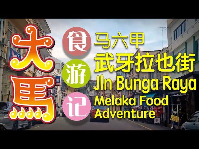 马六甲 【武牙拉也街】 食游记 \(•◡•)/ Jalan Bunga Raya, Melaka Food Adventure