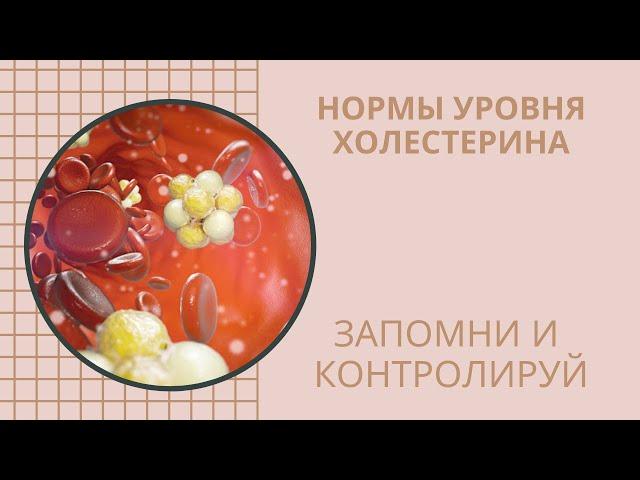  Нормы уровня холестерина. Запомни и  контролируй!