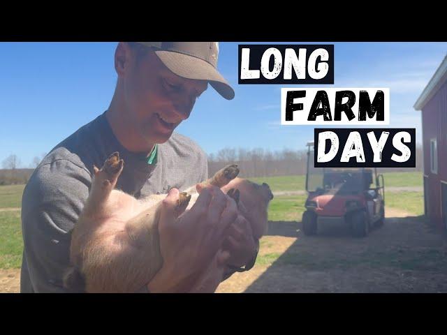 Full Day On A Small Farm