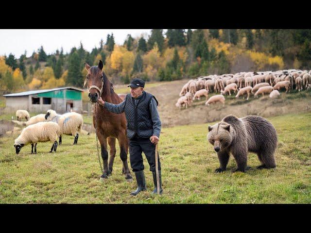 87 Jahre zwischen Wölfen und Bären: Der legendäre Hirte der Karpaten