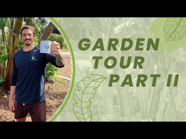 South Florida Exotic Fruit Garden Tour: Grow Inn Homes Headquarters   Part 2 [JUNE 2023]