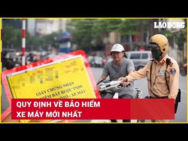 Quy định về bảo hiểm xe máy mới nhất | Báo Lao Động