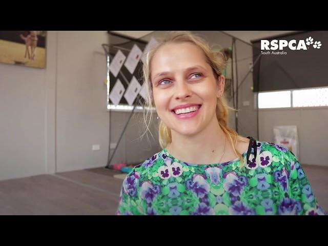 Hollywood star Teresa Palmer on why she’s adopting from RSPCA