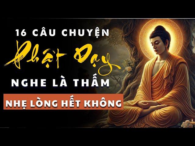 Hành Trình Giác Ngộ | 16 Câu Chuyện Phật Dạy Nghe Thấm Thía Từng Lời Nhẹ Lòng Bớt Khổ.