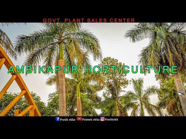 AMBIKAPUR HORTICULTURE | GOVT. PLANT SALES CENTER | AMBIKAPUR UDYAN CINEMATIC SHOT.....