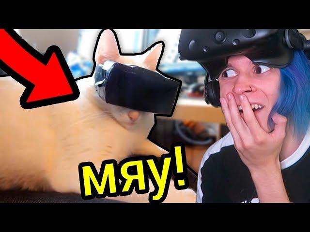 МОЙ КОТ ПЕРВЫЙ РАЗ ИГРАЕТ В ВИРТУАЛЬНОЙ РЕАЛЬНОСТИ!!! (CATIFY VR)